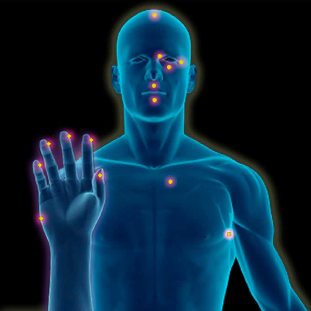 Terapia de Liberación Emocional  (EFT)