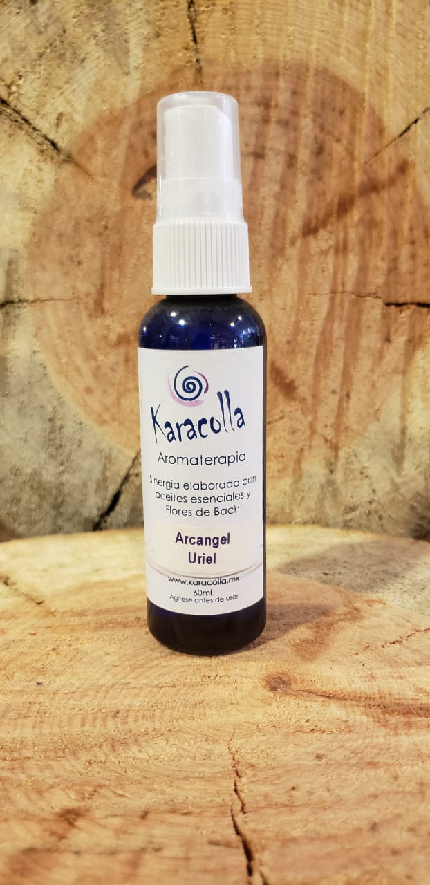 Imagen producto seleccionado