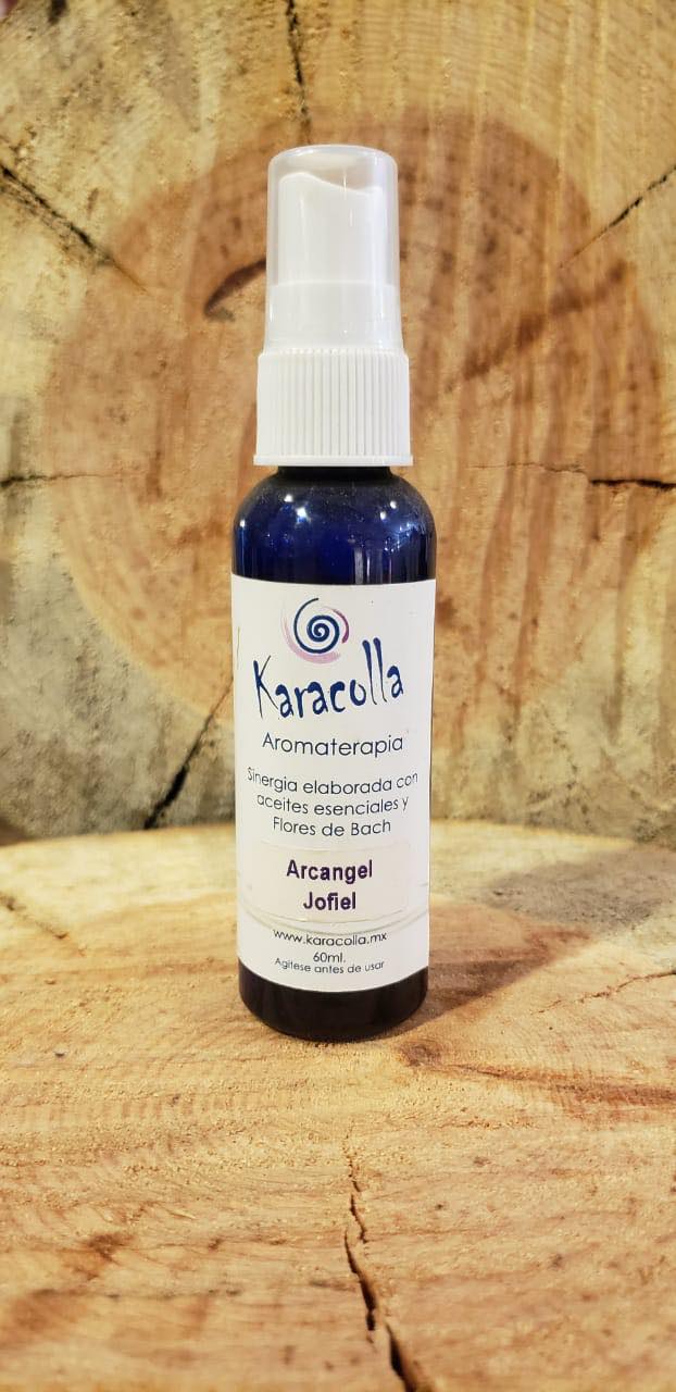 Imagen producto seleccionado