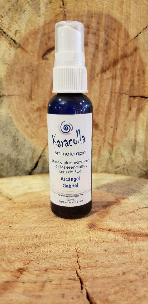 Imagen producto seleccionado